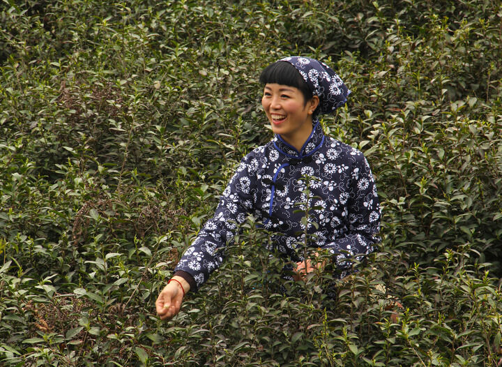 企鹅号·奶冻布丁酱 热门7